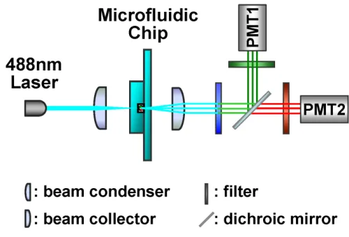 Figure 3.2. The optical configuration of the system for measuring the laser-induced, two-