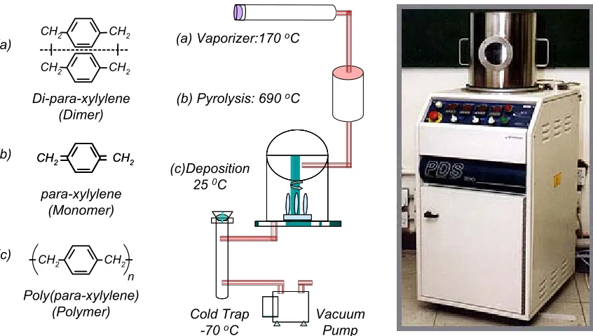 Figure 1-8: Parylene deposition system and the involved chemical processes.  