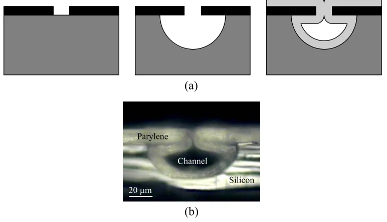 Figure 3-4: Basic embedded-type parylene channel.  (a) Fabrication process flow for the 