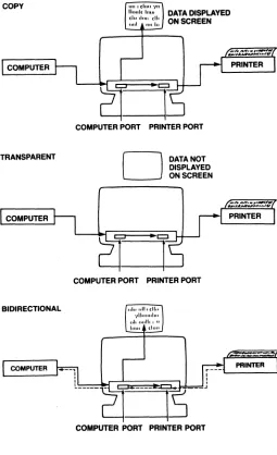 Figure 5-9 shows the flow of data in print modes. 