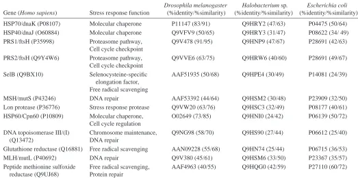 Table 1. The most highly conserved stress response proteins