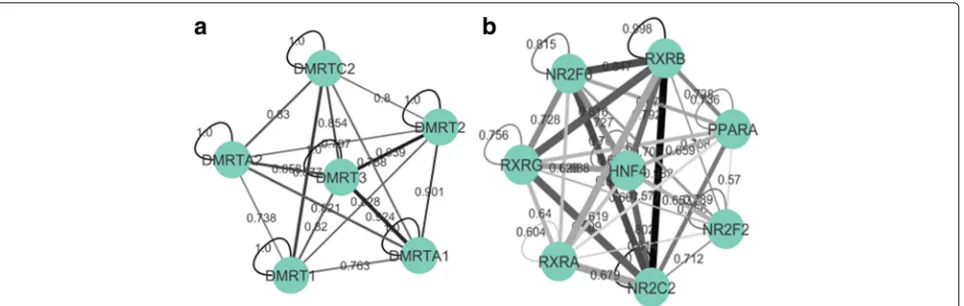Fig. 6 Two clusters from the ENCODE-motif dataset, with edge thickness representing the co-occurrence frequency edge weight generated by oursame family (DMRT), and therefore have high levels of motif similarity (all the edges are dark)