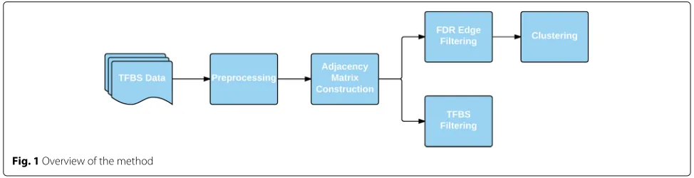 Fig. 1 Overview of the method