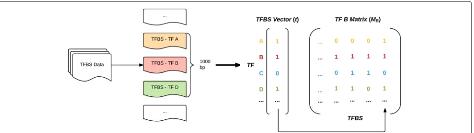 Fig. 2 The construction of co-occurrence matrices. For each TFBS of a given TF, the other TFs within a 1000 base-pair window are recorded in thatTF’s co-occurrence matrix
