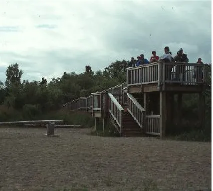 Figure 4.2.2.1: Bear Viewing at Brooks River 