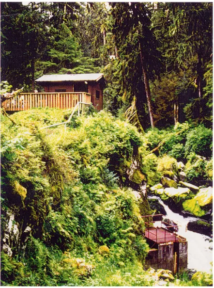 Figure 4.2.2.2: Bear Viewing at Anan Creek 