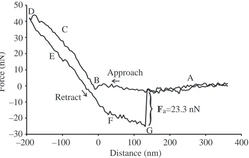 Table 1. Adhesive forces taken from force–distance curves