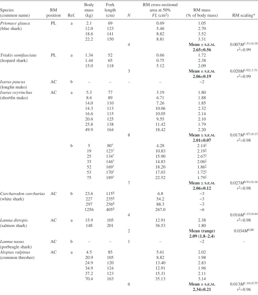 Table 1. Shark red muscle (RM) body position, quantities and allometry based on data from the present study and Careyet al