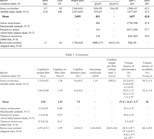 Table 3. Red muscle (RM) vascularization and ultrastructure in sharks and tuna