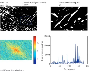 Table 2. Collagen architecture quantiﬁcation