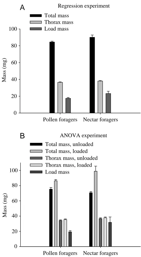 Fig.·2. Average total (bee + load) mass, thorax mass, and load massof pollen (N=37) and nectar (N=49) foragers in the Regressionexperiment (A) and in the ANOVA experiment (B; N=10 for eachforager type-status classiﬁcation)