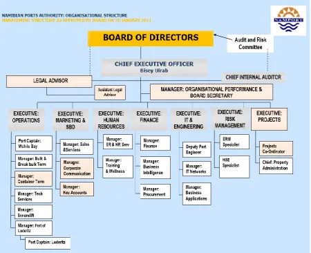 Figure 3: Management Structure at 30 January 2011