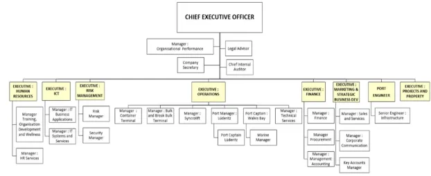 Figure 4: Management Structure at 31 August 2014