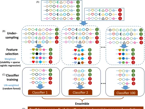 FIGURE 2 Graphical representation of the workflow of evolution- informed modeling. (A) Input matrix
