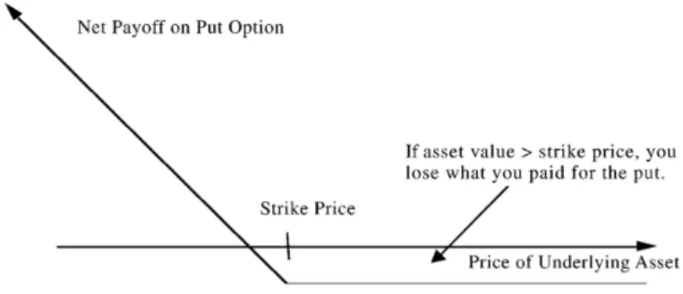 Figure 2.1.2. Payoff on Put Option