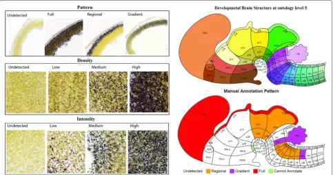 Figure 1 Illustration of the manual annotations. The figure on the left illustrates the three different metrics