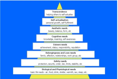 Figure 6: Maslow's hierarchy of needs 