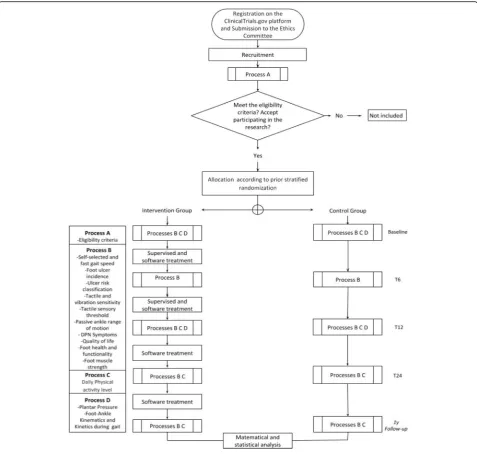 Fig. 1 Flow chart illustrating the process of the study
