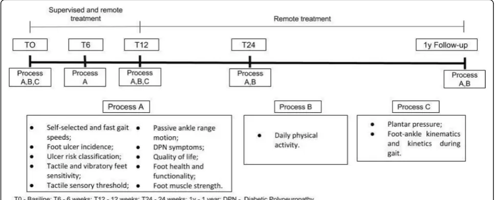 Fig. 2 Timeline of the evaluation processes throughout the clinical trial