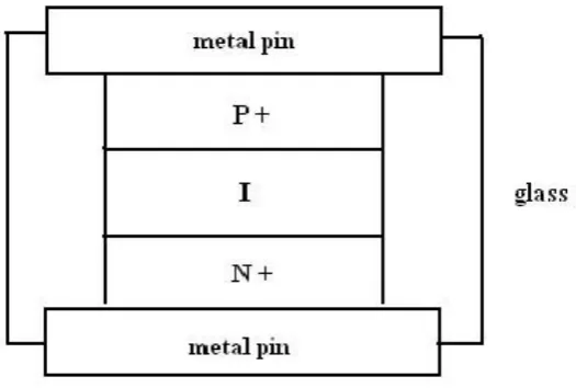Figure 2.5 Cross Section of PIN Diode 