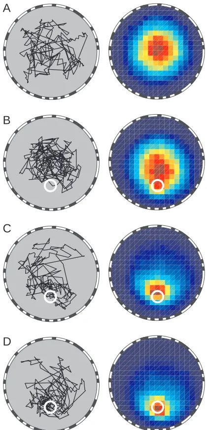 Fig. 14. Flight simulations based on trajectory statistics exhibited byreal ﬂies show that modulation of segment length and collisiondistance is sufficient to account for odor localization