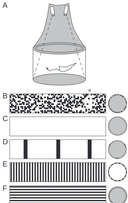 Fig. 1. Geometry of free-ﬂight arena and experimental visualpatterns. (A) Flies explored an arena 1m in diameter, 0.6m high