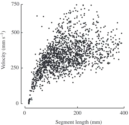 Fig. 6. Flight speed between saccades varies within an envelopeacross segment length. Each point represents the mean velocitybetween two saccades