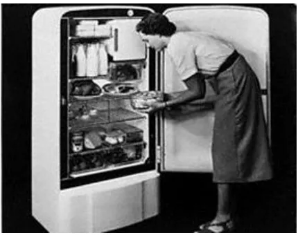 Figure 1: A 1950s fridge 