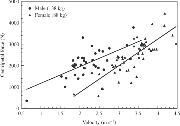 Fig. 2. Relationship between turning rate and centripetal acceleration in two sealions