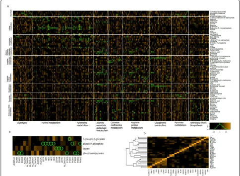 Figure 2 Heatmap of gene-metabolite relationship organized according to KEGG pathway. Mapping of EHMN gene-metaboliteassociation data to robust correlation matrix heat map