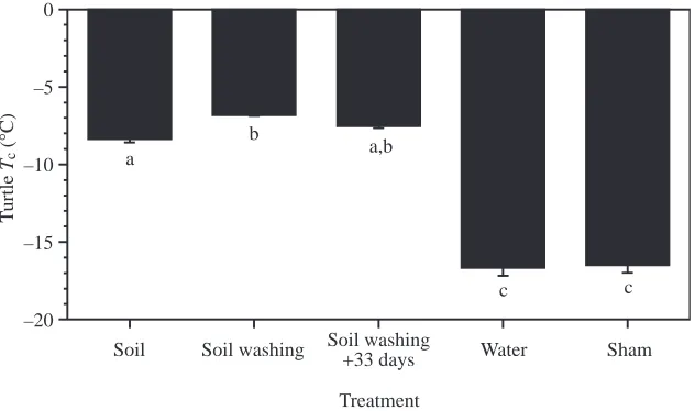 Table 3. Incidence of ingested substratum or eggshell,gastrointestinal tracts, in experimental substrata and tested shortly after hatchingdetermined by microscopic examination of isolatedChrysemys picta reared on different(summer) or after acclimation to 4°C (winter)