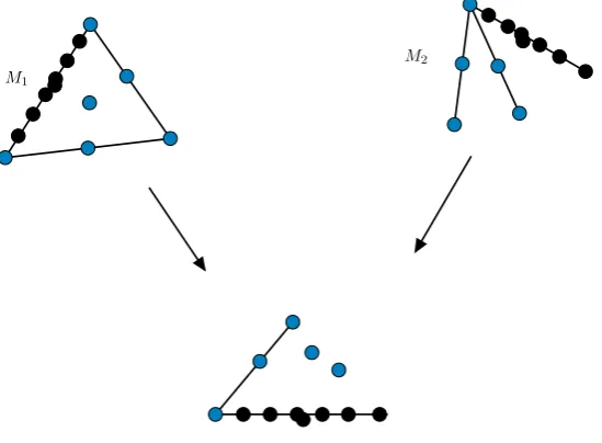 Figure 4.2: Constructing additional matroids that have a common relaxation descendant,by adding new elements to our ground set.