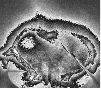 Figure 2.13: A composite of two ﬁltered images of a hydrogen loop, using the H-alpha and H-betaﬁlters