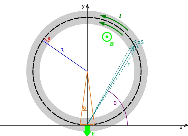 Figure 3.2: Diagram for calculating F, the Lorentz force per unit length experienced by a circular,current-carrying hoop with major radius R and minor radius a