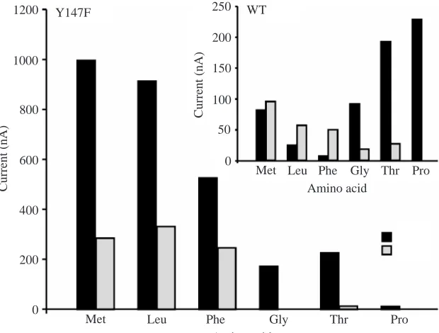 Fig. 3. Uptake of [3injected 2–3days earlier with cRNA encoding W75L, R76E, Y147F,several mutants (Y147F, R76E and W75L)