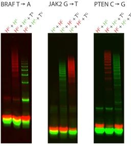 Figure 2.4: Detection of SNP cancer markers.For each of three RNA cancer markers,cancer markers