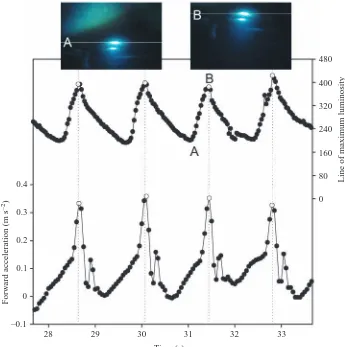 Fig. 1. Swim strokes of an emperorpenguin approaching two through-ice diveholes (bright spots in the video frames)