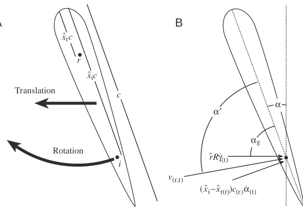 Fig. 1. Cross section of an airfoil illustratinggeometry of the principal model parameters.wing pitch, relevant ﬂow velocity components due to root-ﬂapping (the angle of incidence, Point (A) The arrows indicate that the wing is translatingto the left due t
