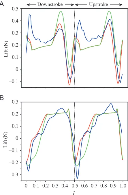 Fig. 3. Comparisons of lift across one stroke cycle for the (A)rotation-advance case (PM2) and (B) rotation-delayed case (PM3).The red line indicates the unsteady blade-element (USBE) model, thegreen line indicates the USBE model with the Magnus forceincluded, and the blue line indicates the measured forces on thephysical wing model.