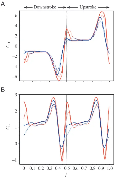 Fig. 4. Comparisons of (A) drag coefficient (Ccoefficient (VM1 and VM2. The unsteady blade-element (USBE) model resultsare shown with solid lines, while the computational ﬂuid dynamic(CFD) model results are shown with broken lines
