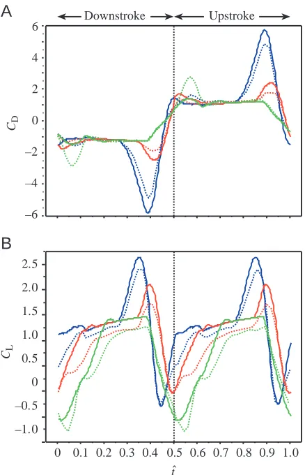 Fig. 6. Comparisons of (A) drag coefficient (Ccoefficient (D) and (B) liftCL) across one stroke cycle for VM1, VM3 and VM4.The unsteady blade-element (USBE) model results are shown withsolid lines, while the computational ﬂuid dynamic (CFD) modelresults ar