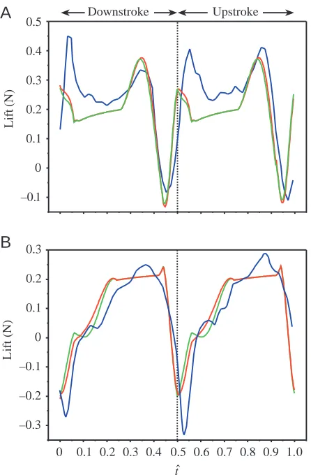 Fig. 7. Comparisons of lift for cases (A) PM2 and (B) PM3estimated by the unsteady blade-element (USBE) model (red line)and a quasi-steady model that separately estimates a translationalcirculatory force and a rotational circulatory force using rotationalc