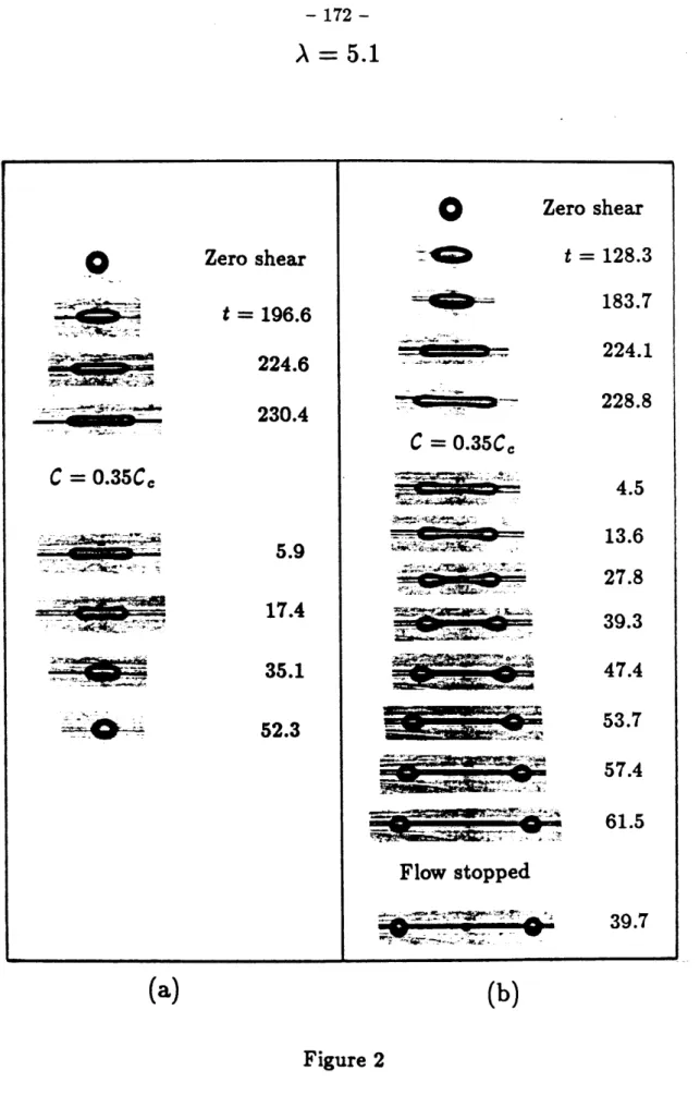 Figure  2 0- Zero shear t = 196.6 * >  .:-: 7 ; 224.6 230.4 . - * - -  w -* . - 7  -- wj---*-- -- - - A?? - , , - -  5.9 + -&amp; 17.4 35.1 - 