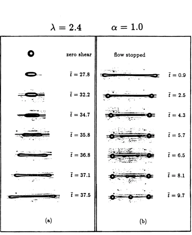 Figure 6 zero shear - t = 27.8 " S  - .  . t = 32.2 6--'-* - -** -- ** - t = 34.7 - * -- *- <*+ * A- - :- - t = 35.8 -4- - :-t--- t = 36.8 - r-- + t = 37.1 - * 3 - 