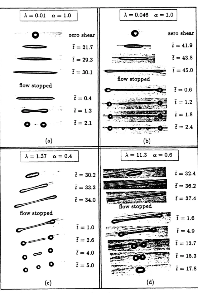 Figure  9 X = 0 . 0 1  a = 1 . 0  --- zero shear - - -  - 0 ----- v - t = 21.7 - - - t = 29.3 - - t = 30.1  .d-  zero  shear - - t = 41.9 - t = 43.8 2 + -  - * - -.+ - -*--- -J t = 45.0 L.% -- -- flow stopped flow stopped - m -- 0 - 0  .- 