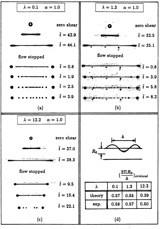 Figure  13 P X = 0.1 a = 1.0 zero shear - t = 42.9 -  - t = 44.1 flow stopped 0 0 5 = 0 