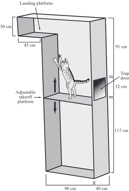 Fig. 2. Diagram of jump enclosure. Cats took off from an adjustableplatform and jumped upwards to the stationary landing box
