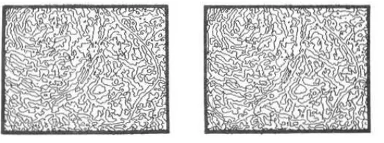 Figure 4.3: An ezample of edgu. The.e edge. were derived from the .tereo pair .hown in Figuft ./.£