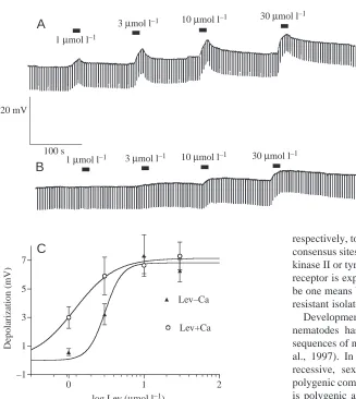Fig. 5. Potentiating concentration–response concentrations of levamisole applied in Mg(APF) bathing solution (6mmollresponse was statistically signiﬁcant (was 6.8mV