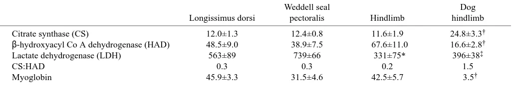 Table 2. Morphometric estimates of ﬁber cross-sectional area and capillarity in Weddell seals